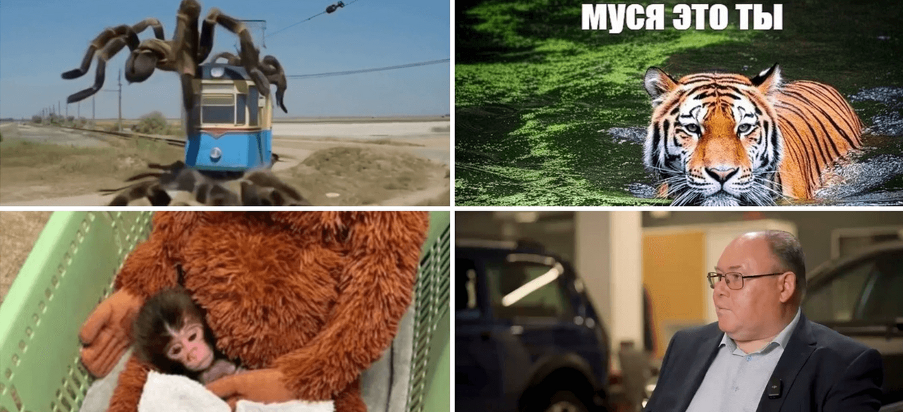 Мемы 2026: самое смешное и популярное за год